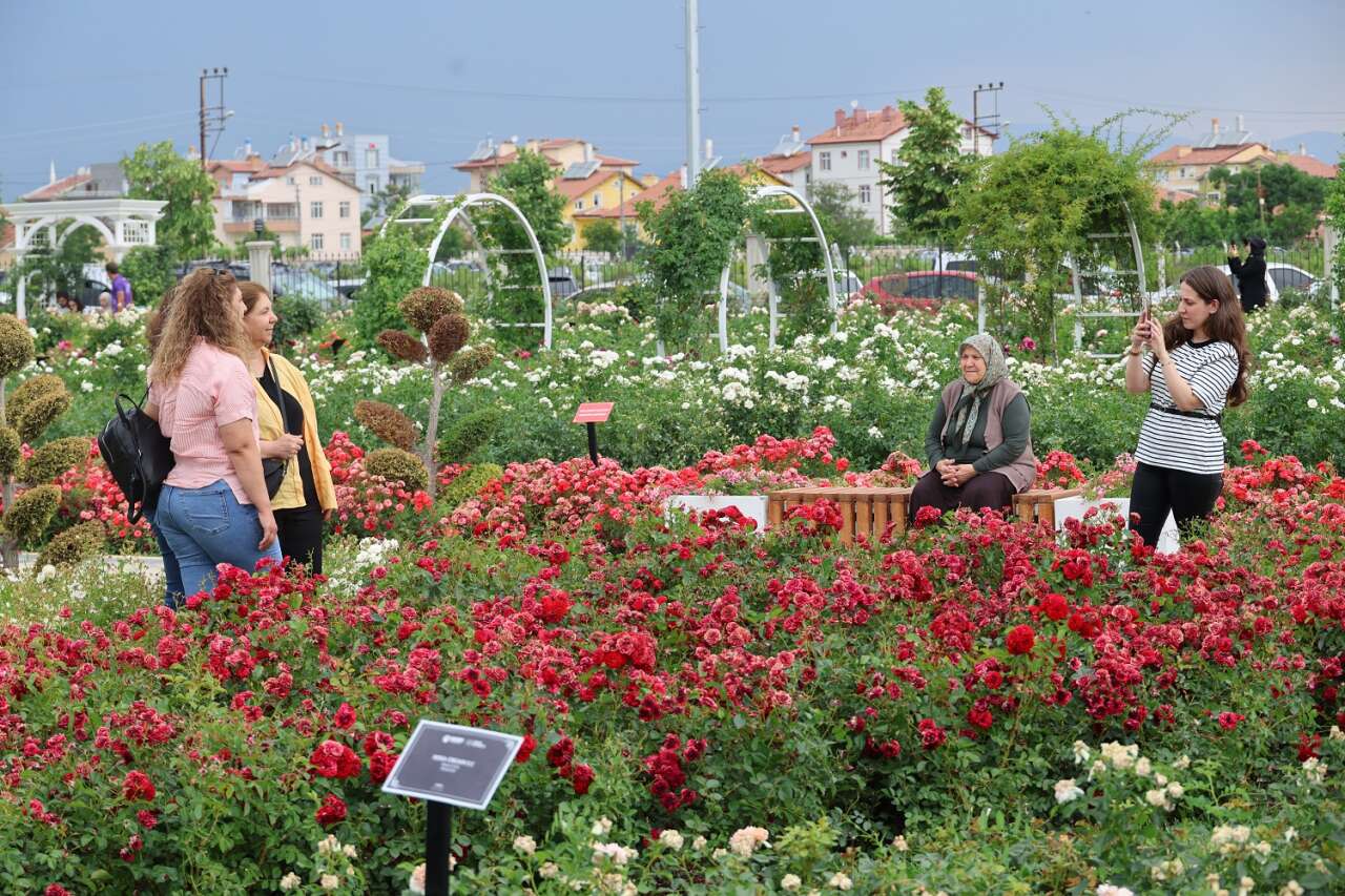 Türkiye'yi Konya'ya çeken Karatay'ın mor ve renkli cenneti gönülleri fethetti 12